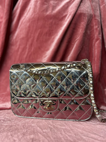 Silver Purse