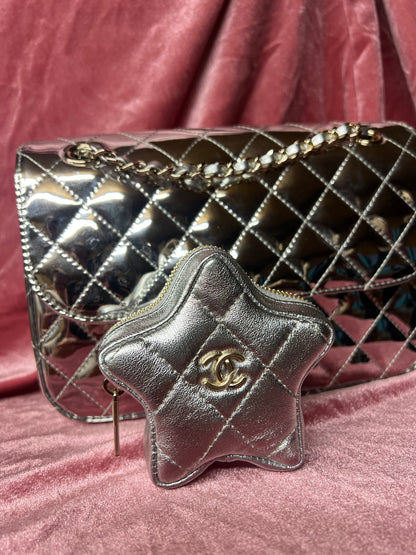 Silver Purse